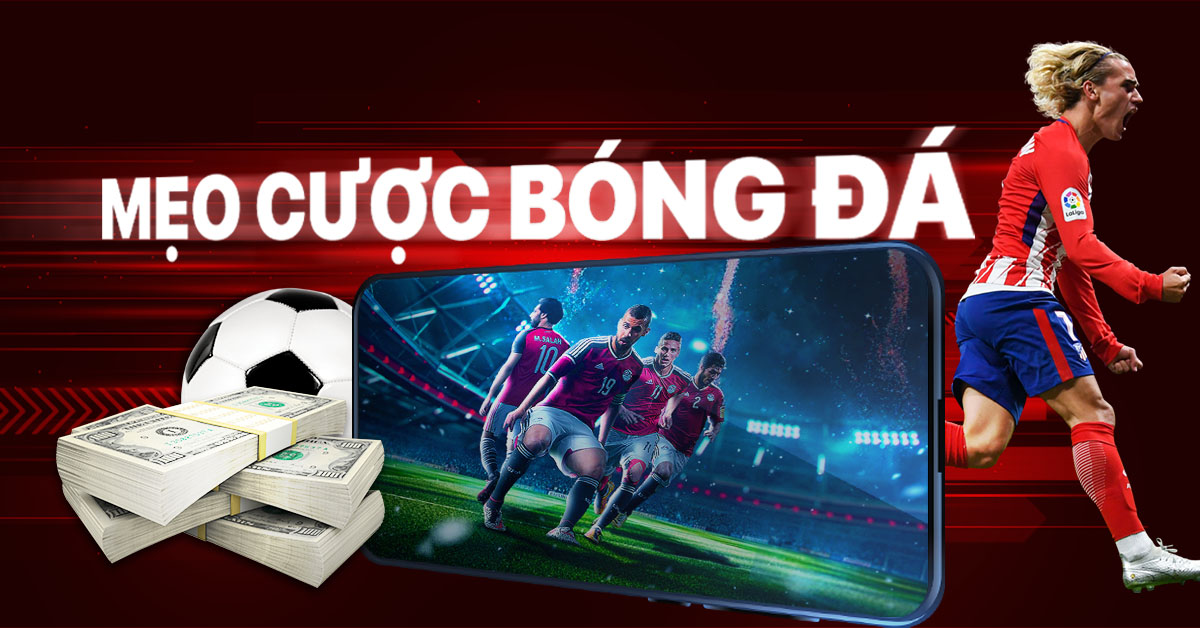 Khám phá Cá cược thể thao nhà cái B29 - Bí quyết thành công